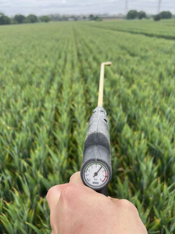 Hand-held spray lance with a pressure gauge held over a green cereal crop